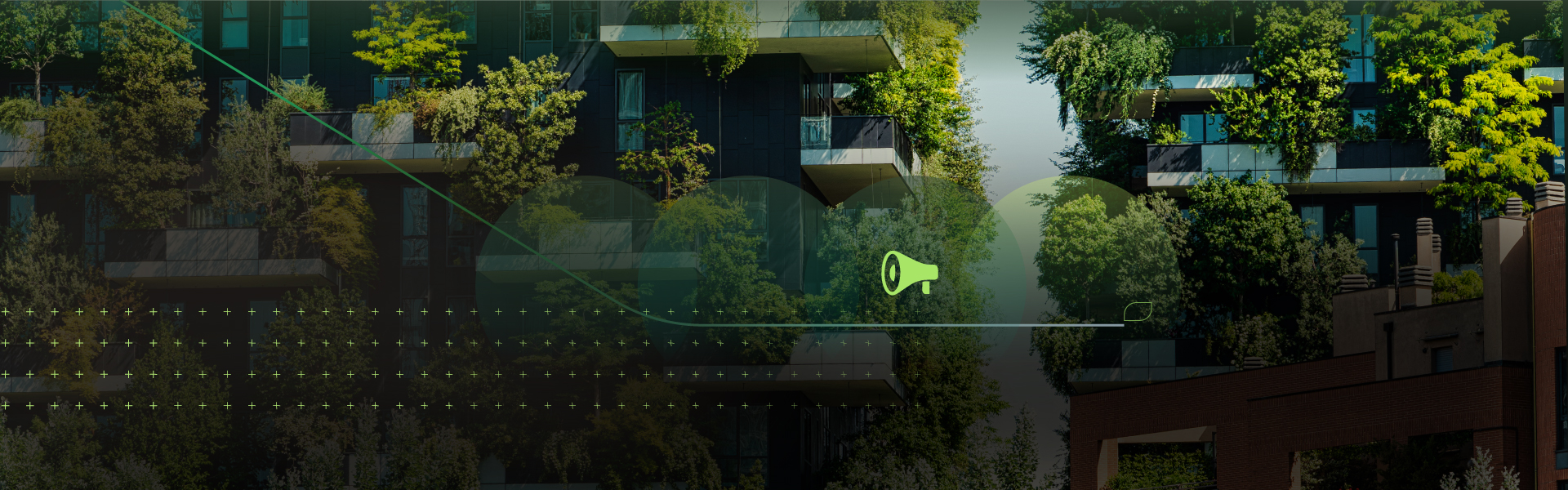 News and Insights banner